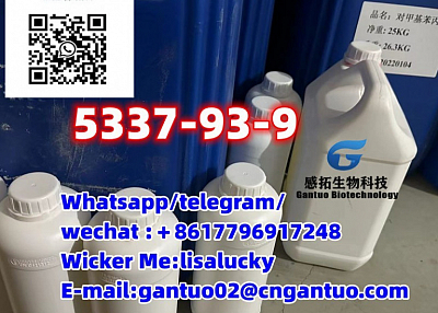 Top quality CAS 5337-93-9 CAS 191790-79-1 4-Methylpropiophenone from China supplier 2114-39-8