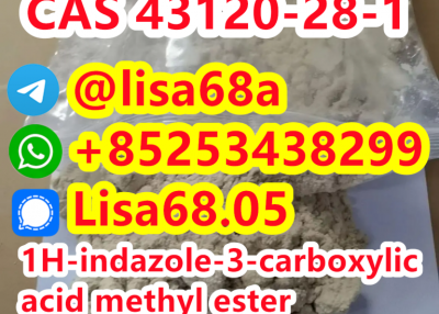 CAS 43120-28-1 1H-indazole-3-carboxylic acid methyl ester C9H8N2O2