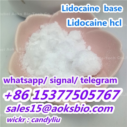 Lidocaine Powder CAS 137-58-6 Anesthetic Agents Lidocaine China Factory Price