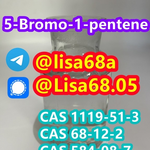 CAS 1119-51-3 5-Bromo-1-pentene C5H9Br