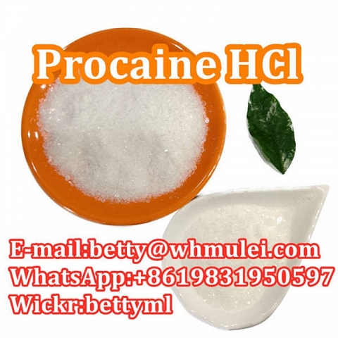 Cas:51-05-8 factory procaine hydrochloride procaine hcl powder favorable price safe delivery