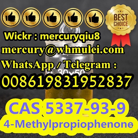 China supplier 4-Methylpropiophenone  5337-93-9 (1-(p-Tolyl)propan-1-one  1-(4-methylphenyl)propan-1