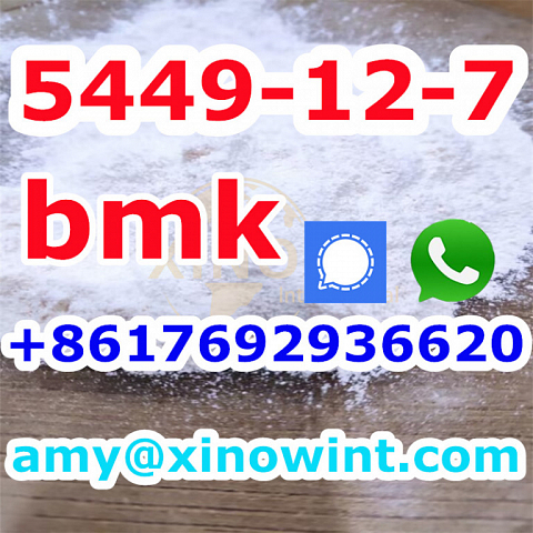 Factory Price bmk powder Bmk Glycidic Acid Sodium Salt CAS 5449-12-7 New Bmk powder