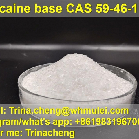 Shiny phenacetin powder crystal phenacetin supplier in China CAS 62-44-2