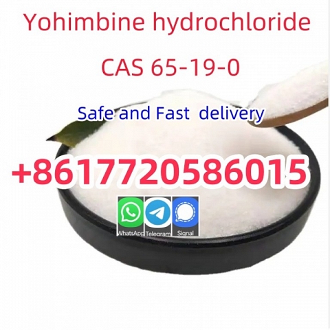 Supply 99% Yohimbine Hydrochloride Yohimbine HCl CAS 65-19-0