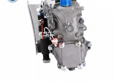 fuel injection pump ve pump BH6pa110 fuel pumps for trucks 141195655