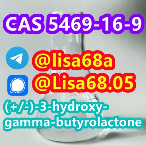 CAS 5469-16-9 (+/-)-3-hydroxy-gamma-butyrolactone C4H6O3