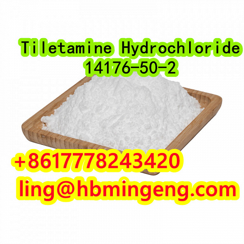 CAS 14176-50-2 Tiletamine Hydrochloride Hot Selling Good Quality Made in China