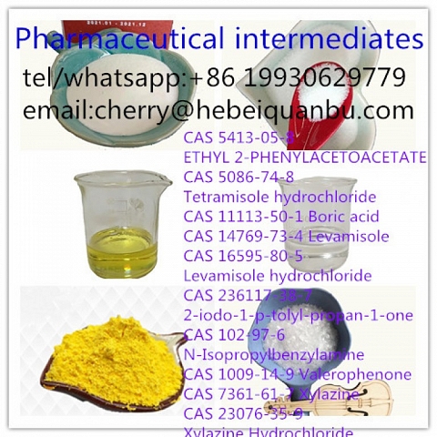 99% Purity BMK Powder CAS 5413-05-8