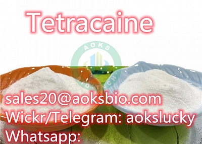 Factory Supply Top Quality Tetracaine Powder 94-24-6 Tetracaine Base Tetracaine Hydrochloride