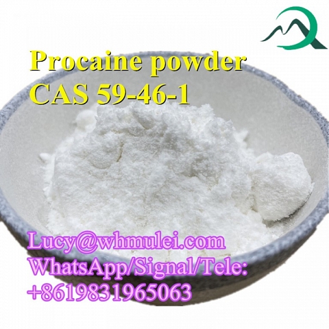 Procaine Powder CAS 59-46-1 Procaine Base Hydrocarbon Halide Popular in Australia USA Mexico