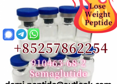 Hot Selling CAS 623172-56-5 Palmitoyl Tripepitde-5 Excellent Quality 99% High Purity COA Provided