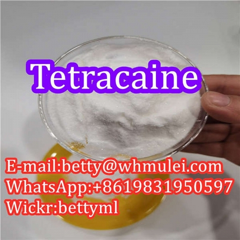 Cas:94-24-6 factory tetracaine base,tetracaine powder favorable price safe delivery