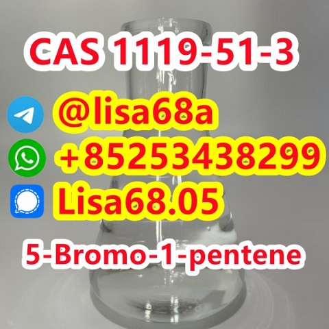 CAS 1119-51-3 5-Bromo-1-pentene C5H9Br