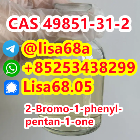 CAS 49851-31-2 2-Bromo-1-phenyl-pentan-1-one C11H13BrO