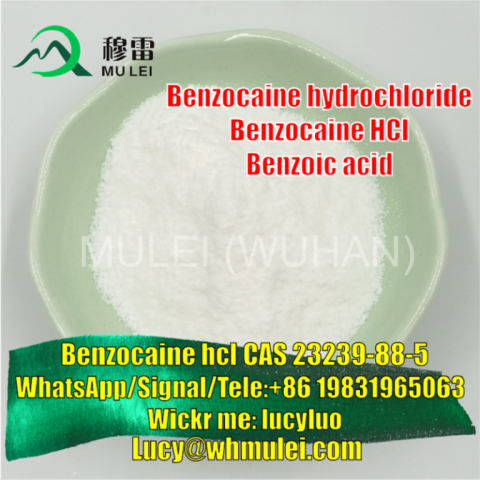 Benzocaine Hydrochloride Powder Benzocaine HCl Supplier CAS 23239-88-5