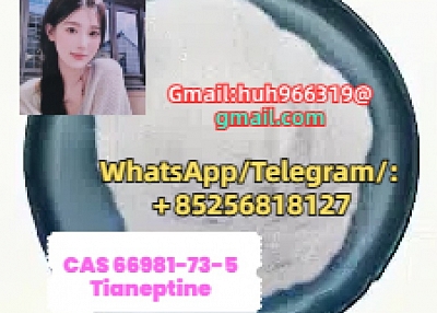 Sell CAS66981-73-5 Tianeptine China supplier