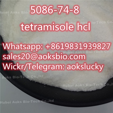 Tetramisole Hydrochloride Tetramisole HCl Tetramisole Powder CAS 5086-74-8 Tetramisole