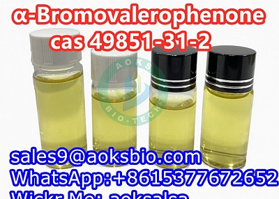 cas 49851-31-2 2-Bromo-1-phenyl-1-pentanone 498514-31-2 China supplier safe delivery to Russia