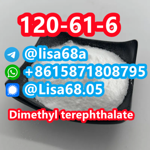 CAS 120-61-6 Dimethyl terephthalate C10H10O4