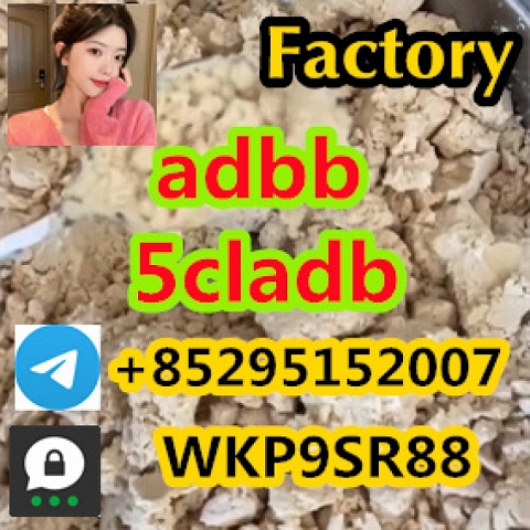 Raw Materials 5C-L-A-D-B-A supplier 5cl 5cl adb with high-quality 5cladb adbb 5fadb 5cl-adb