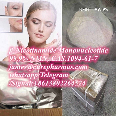 99.9% raw β-Nicotinamide Mononucleotide NMN 1094-61-7 NAD+ NADP NADH powder factory supplier