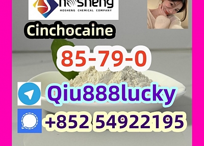 85-79-0 Cinchocaine