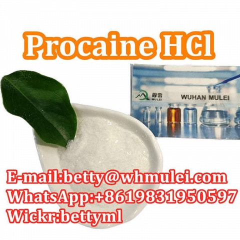 Cas:51-05-8 factory procaine hydrochloride procaine hcl powder favorable price safe delivery