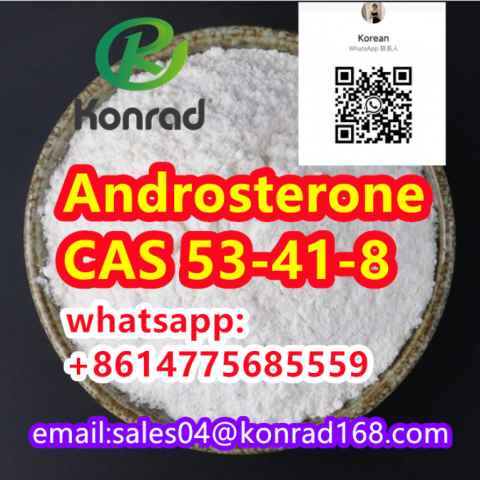  Androsterone:CAS 53-41-8