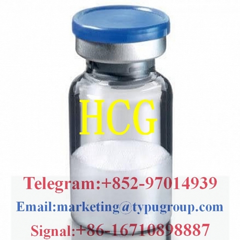 Chorionic gonadotropin HCG CAS:9002-61-3 Telegram/Whatsapp:+852-97014939