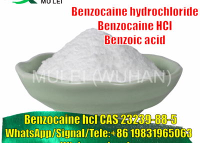 Benzocaine Hydrochloride Powder Benzocaine HCl Supplier CAS 23239-88-5