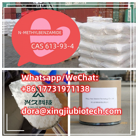 N-methylbenzamide CAS 613-93-4 99% White powder