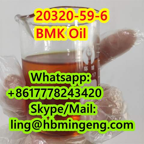 CAS 20320-59-6 CAS 5449-12-7 CAS 5413-05-8 BMK Oil BMK Powder Hot Selling