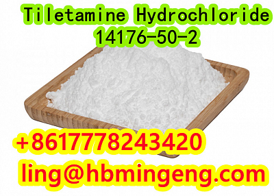 CAS 14176-50-2 Tiletamine Hydrochloride Hot Selling Good Quality Made in China