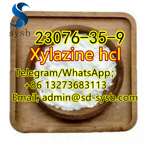  10 A  23076-35-9 Xylazine hcl 