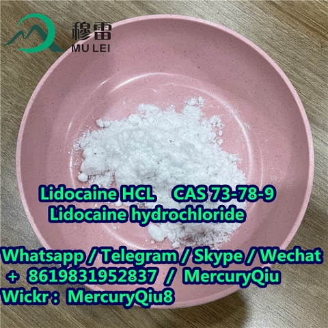 Best price CAS 73-78-9 Lidocaine HCl Pharmaceutical Intermediate Lidocaine Hydrochloride