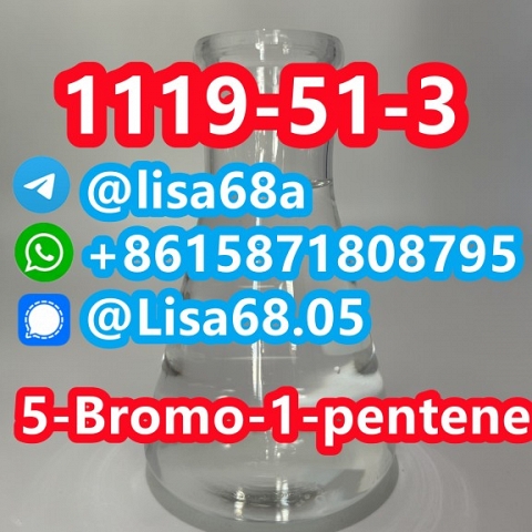 CAS 1119-51-3 5-Bromo-1-pentene C5H9Br