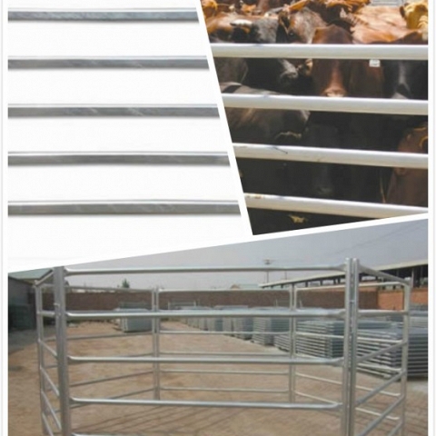 Cattle Corral Fence