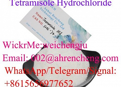 Tetramisole HCI CAS 5086-74-8 with Top Quality