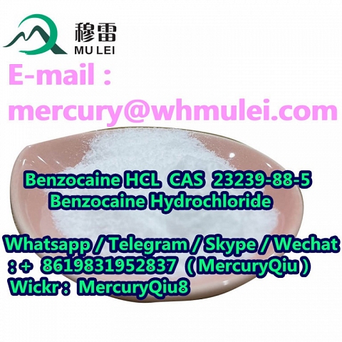 Local Anesthetic Benzocaine HCL White Crystalline Powder cas 23239-88-5