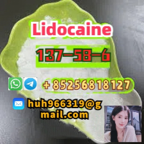 Sell CAS 137-58-6 Lidocaine crystal Door to Door Safe