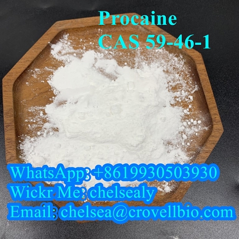 Procaine CAS 59-46-1