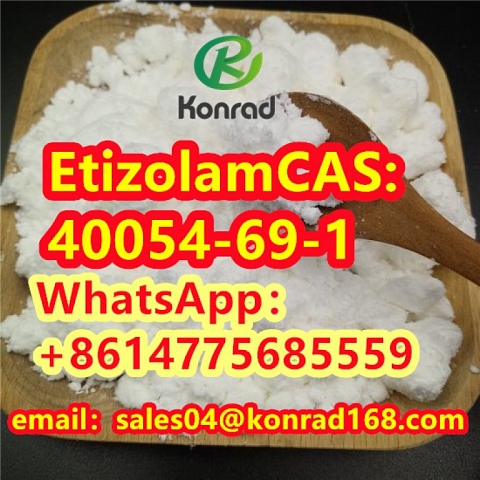  Etizolam CAS:40054-69-1