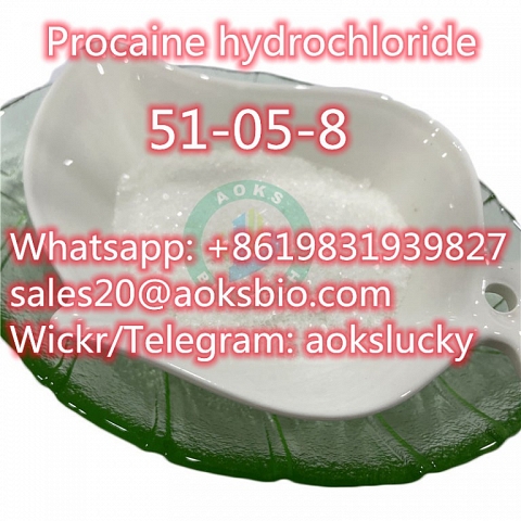  Procaine Hydrochloride / Procaine HCl CAS 51-05-8， Factory Price CAS 51-05-8