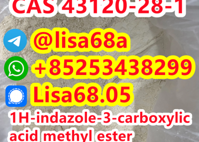 CAS 43120-28-1 1H-indazole-3-carboxylic acid methyl ester C9H8N2O2