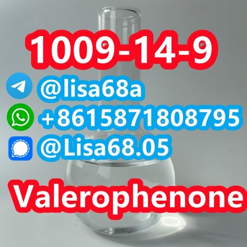 CAS 1009-14-9 Valerophenone C11H14O