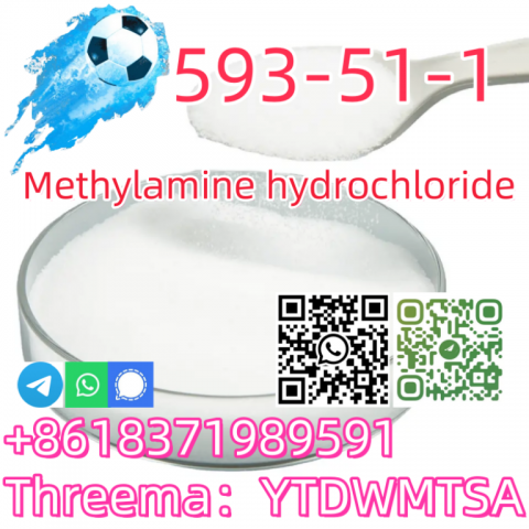 Buy Good quality CAS 593-51-1 Methylamine hydrochloride with best price