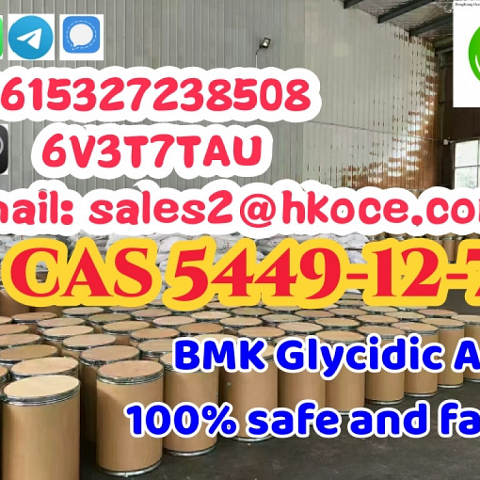 New BMK Glycidic Acid (sodium salt) CAS 5449-12-7 used in Pharmaceutical Industry