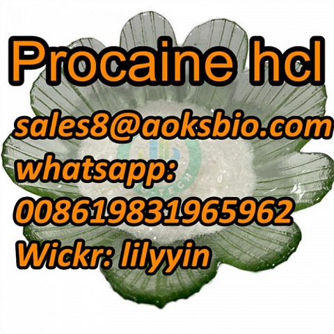 Factory Stock,100% Safe Delivery Procaine hcl, cas 51-05-8, 59-46-1, 94-09-7,137-58-6,73-78-9,