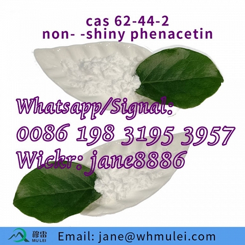 Phenacetin large factory phenacetin USA import ,non-shiny phenacetin 62-44-2